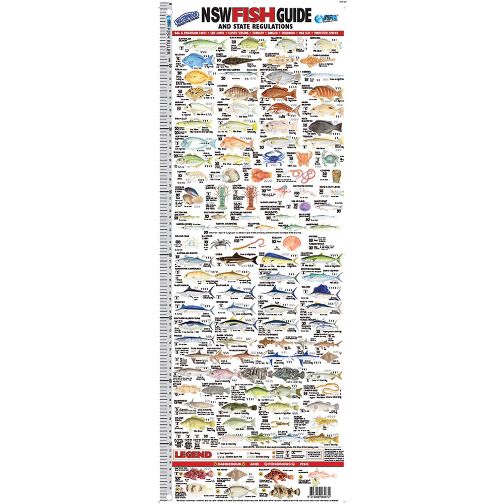 AFN Fish Ruler Guide