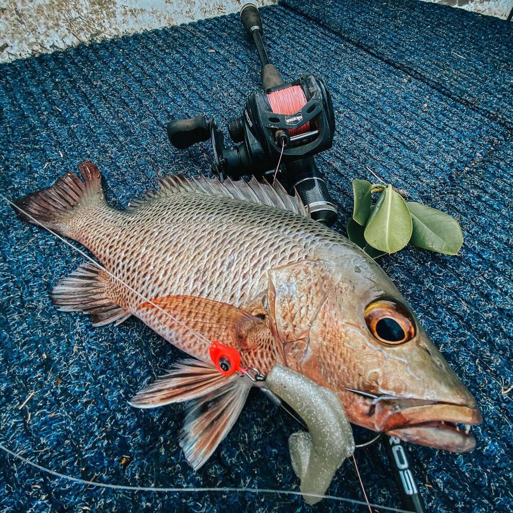 TT Fishing Snake EyeZ Jigheads Pearl