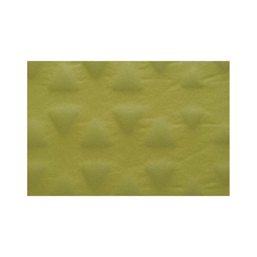 Sea to Summit Self Inflating Camp Mat Green