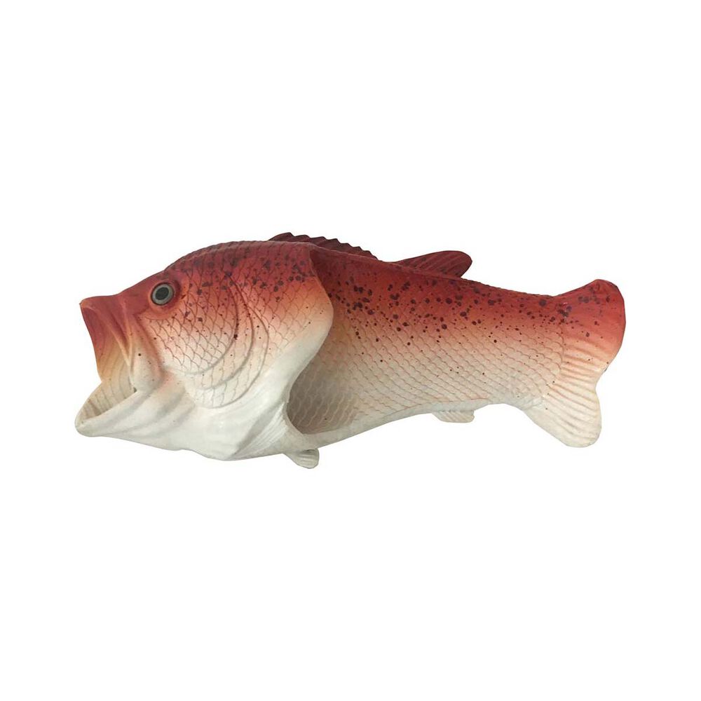 Snapper Fish Feet