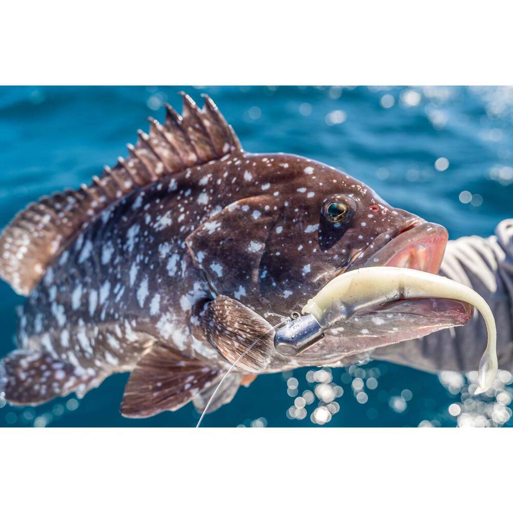Daiwa Bait Junkie Finesse 0X Jig Heads