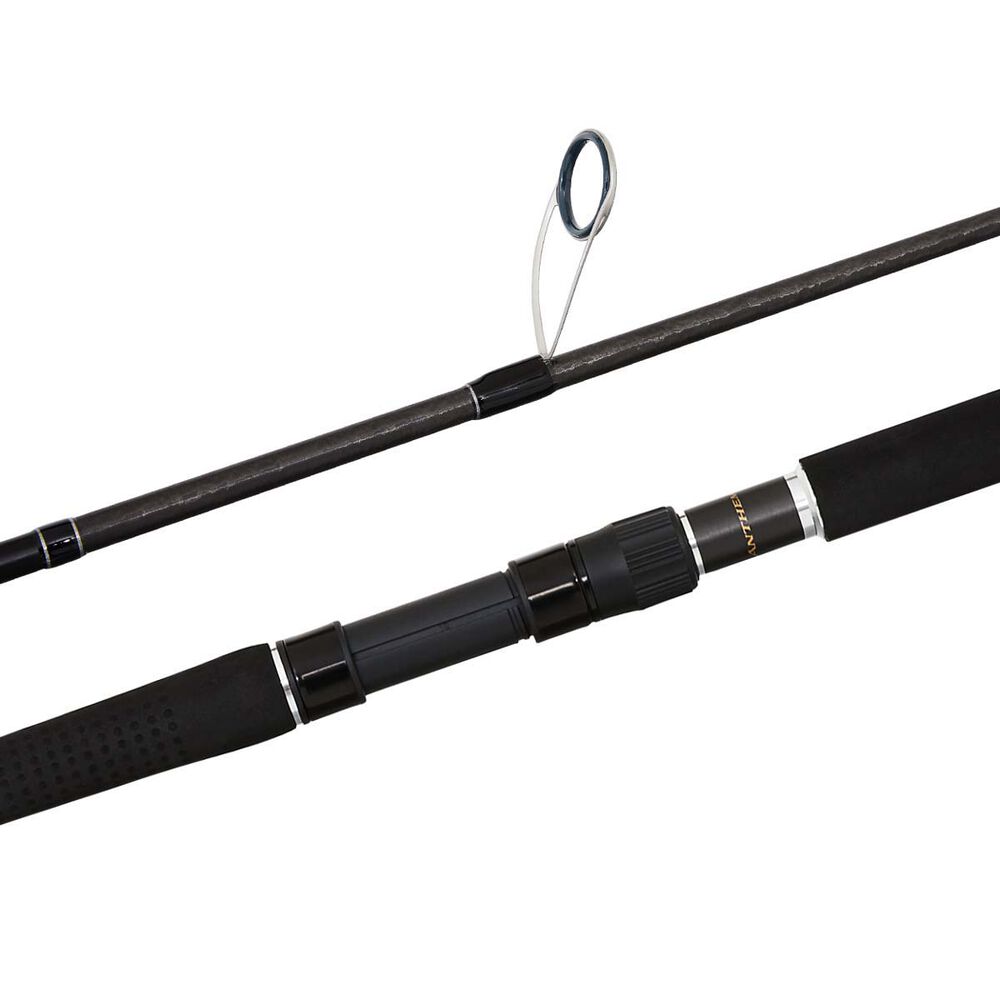 Shimano Anthem Spinning Rod