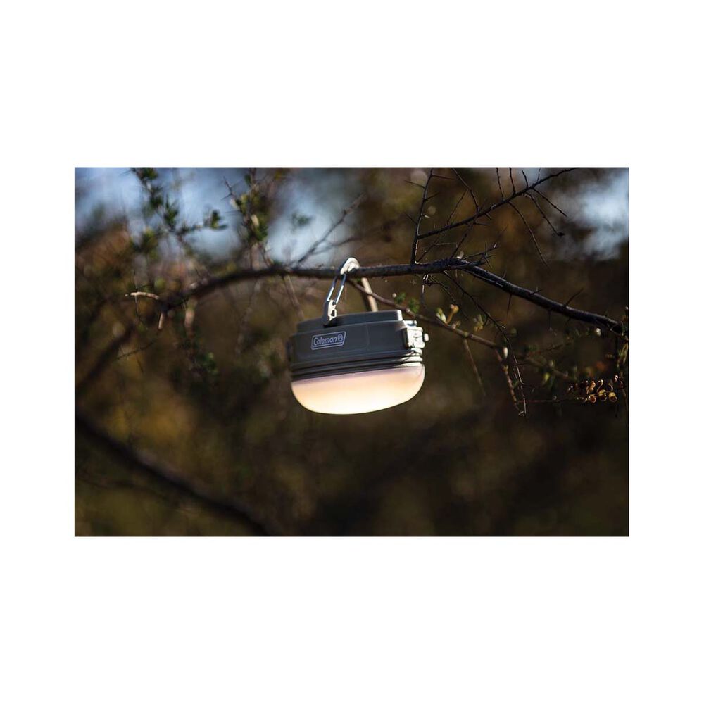 Coleman Swagger Lantern
