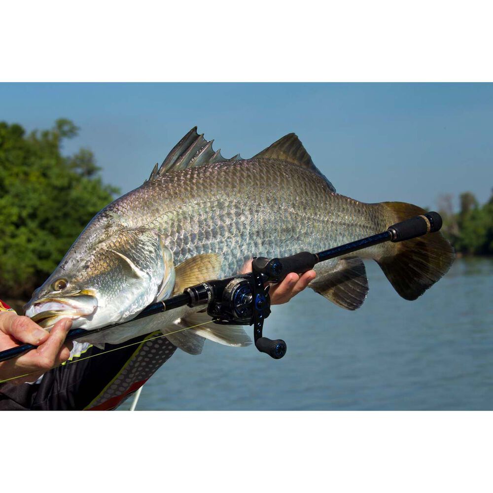 Abu Garcia Salty Stage KRX II Baitcaster Rod