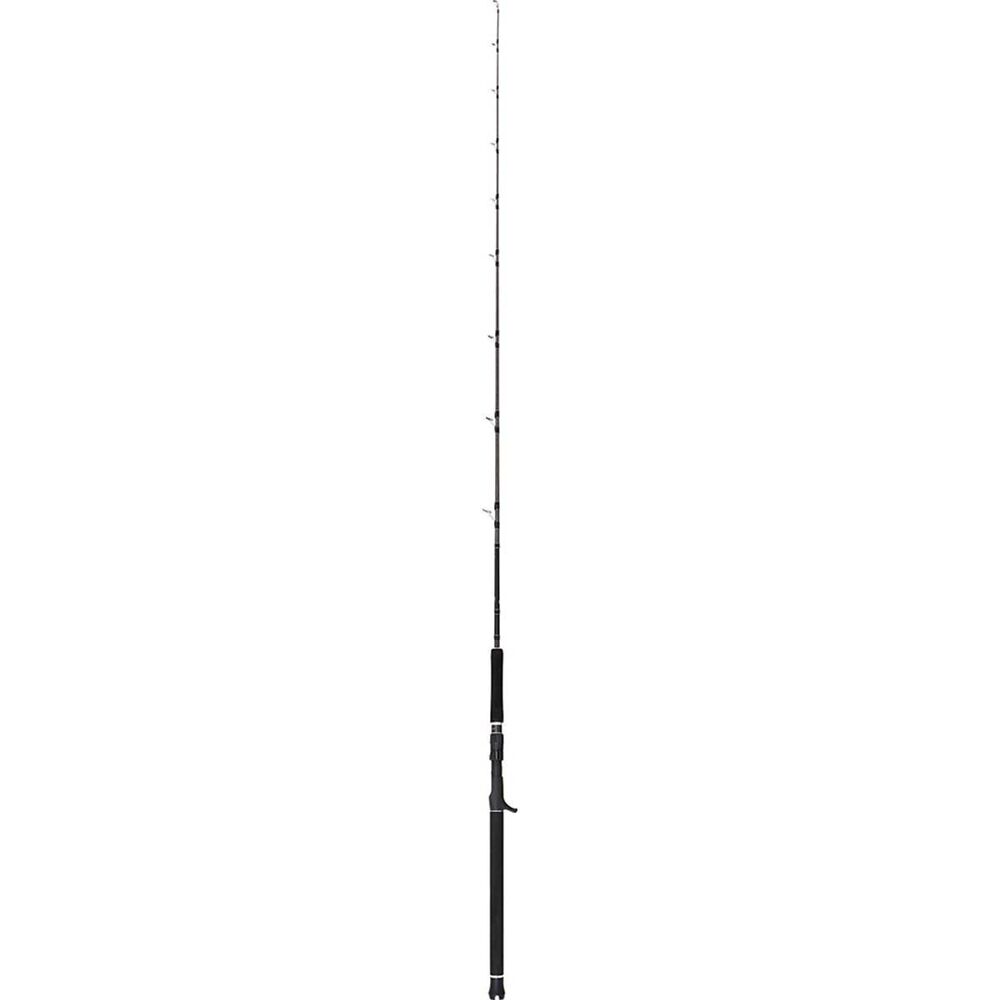 Shimano Anthem Overhead Rod