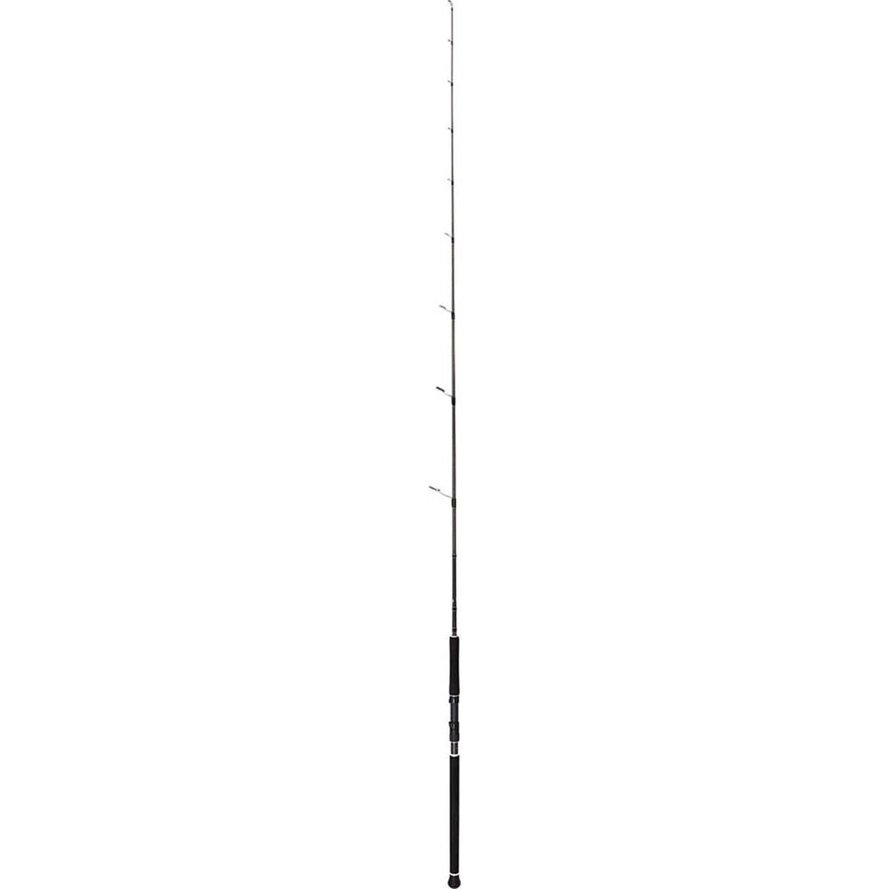 Shimano Anthem Spinning Rod