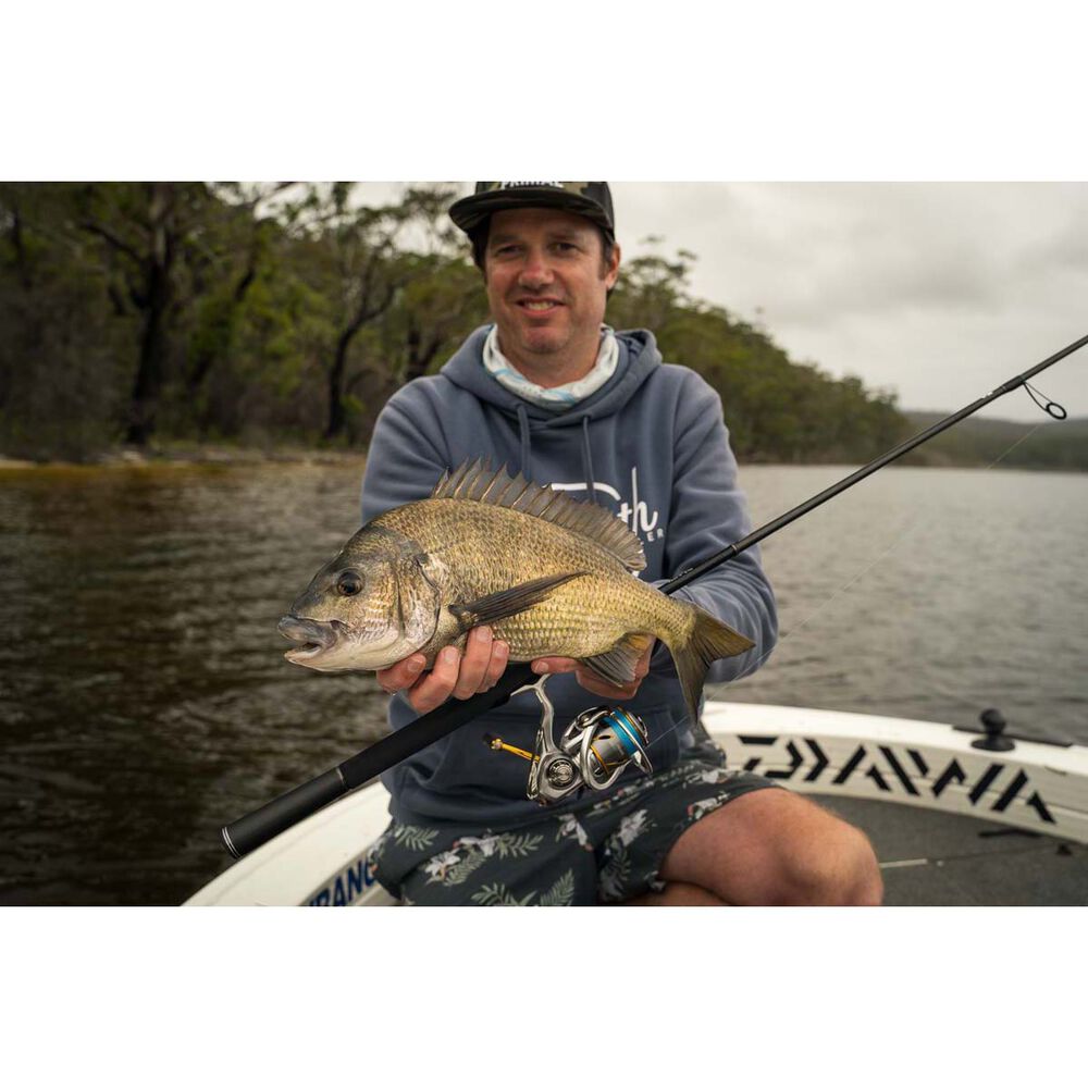 Daiwa Freams LT Spinning Reel 6000D-H
