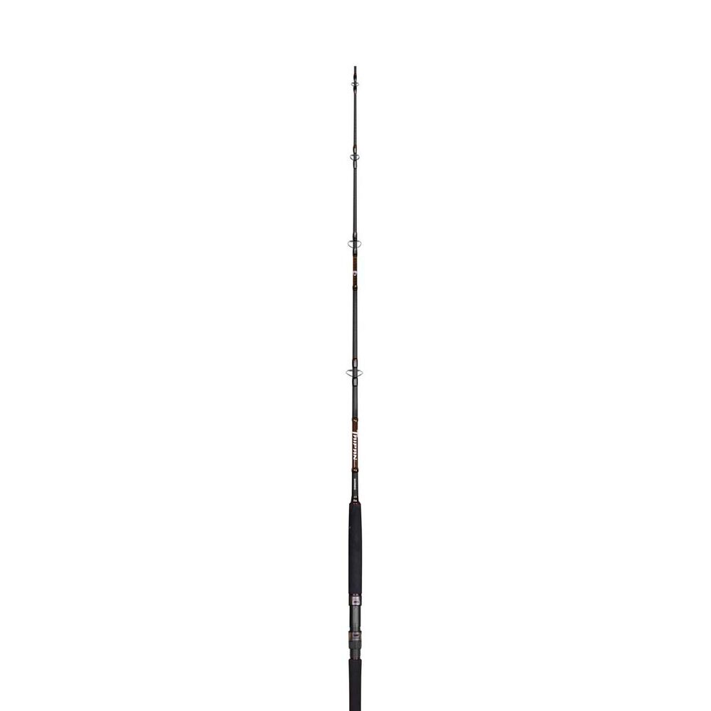 Shimano Taipan Spinning Rod