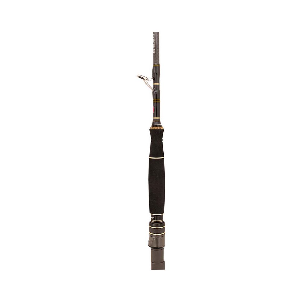 PENN Ocean Assassin Overhead Rod