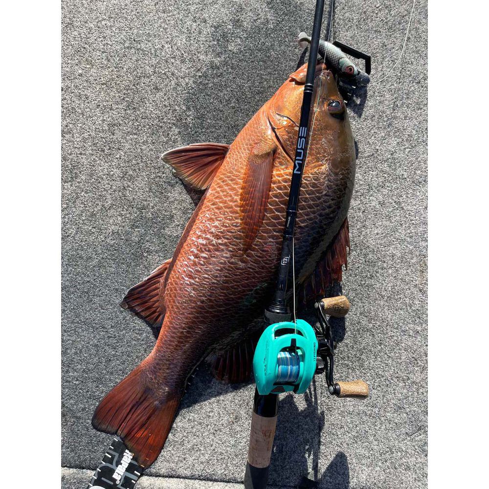 13 Fishing Concept TX Gen II 6.8 1 Baitcaster Reel