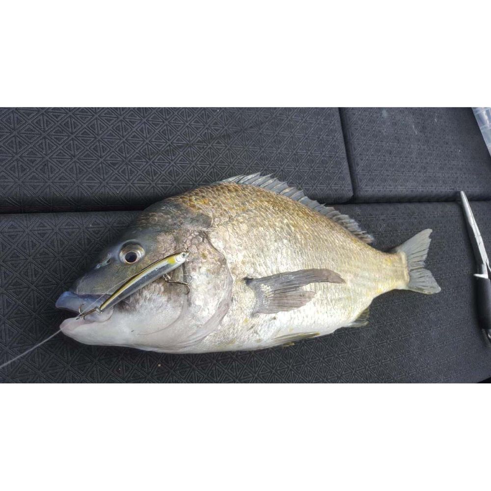 Smith Panish Floating Hard Body Lure 70mm