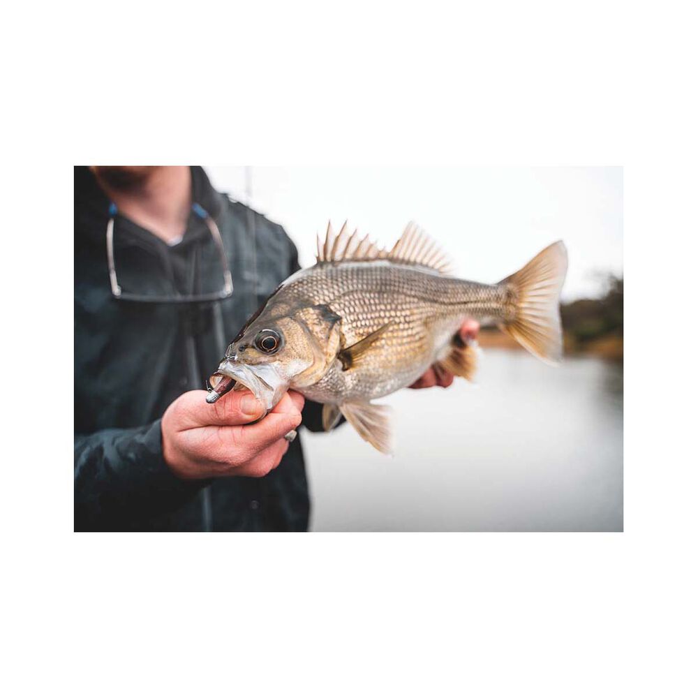 Daiwa Bait Junkie Finesse 0X Jig Heads