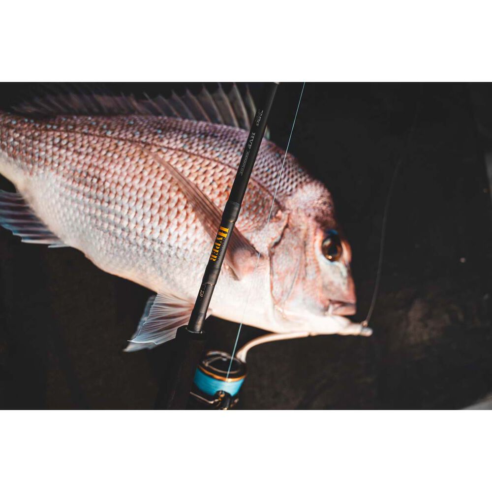 Daiwa 23 TD Hyper Spinning Rod