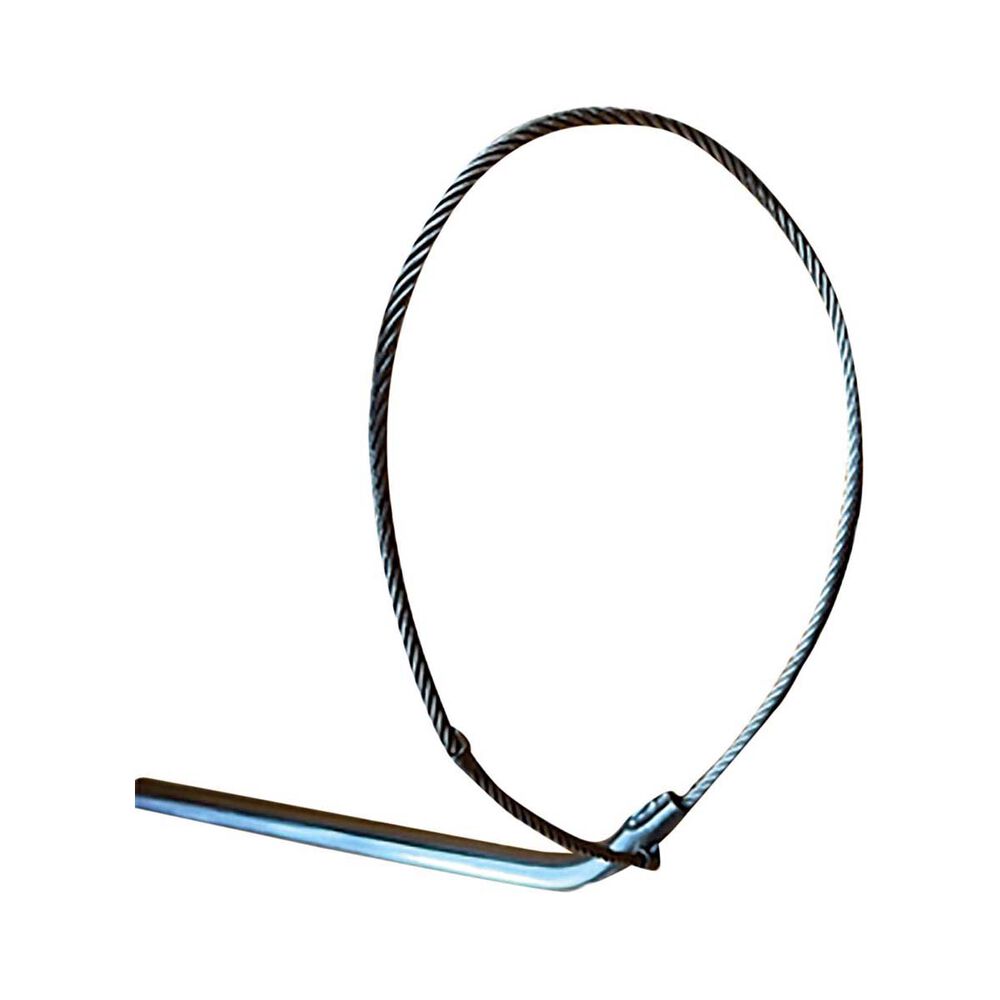 Odysseus Cray Loop Standard 1m