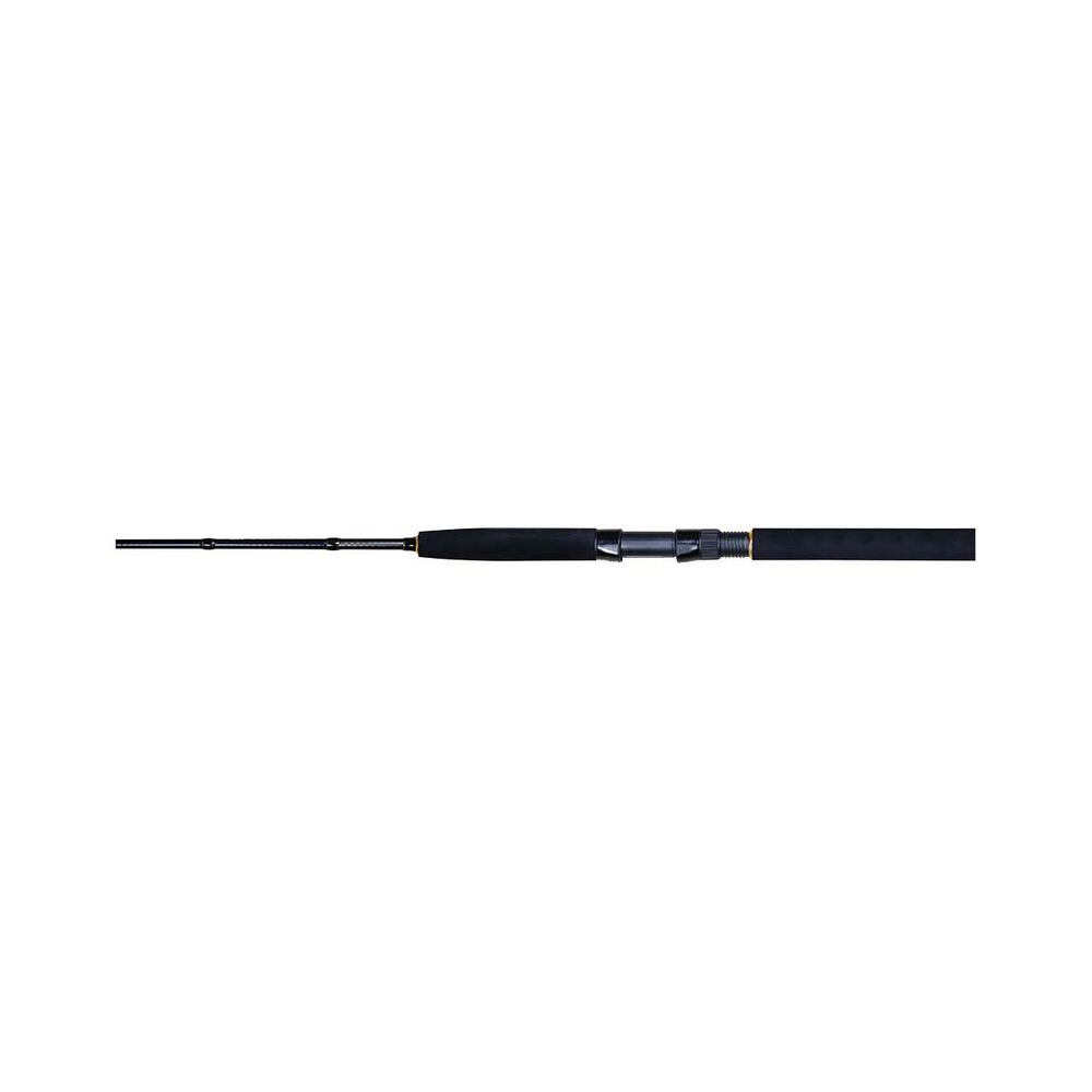 Shimano Spheros Spinning Rod