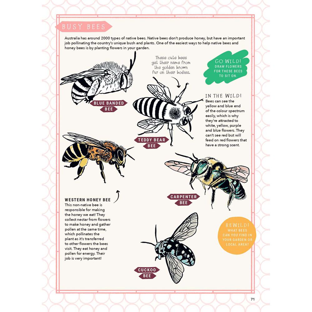 Rewilding Kids Australia Activity Book