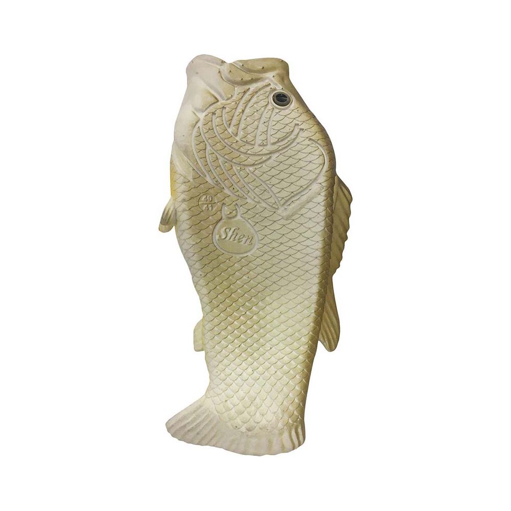 Barramundi Fish Feet