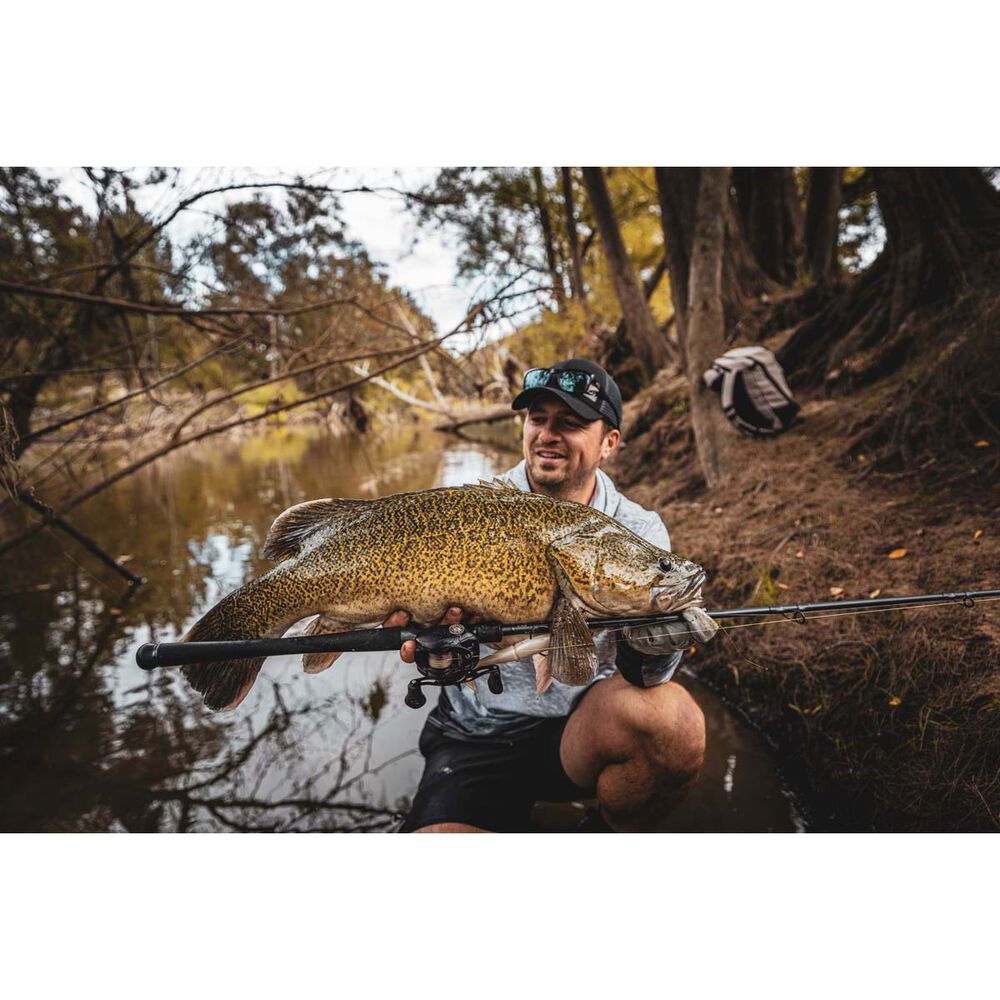 Daiwa 23 TD Hyper Baitcaster Rod