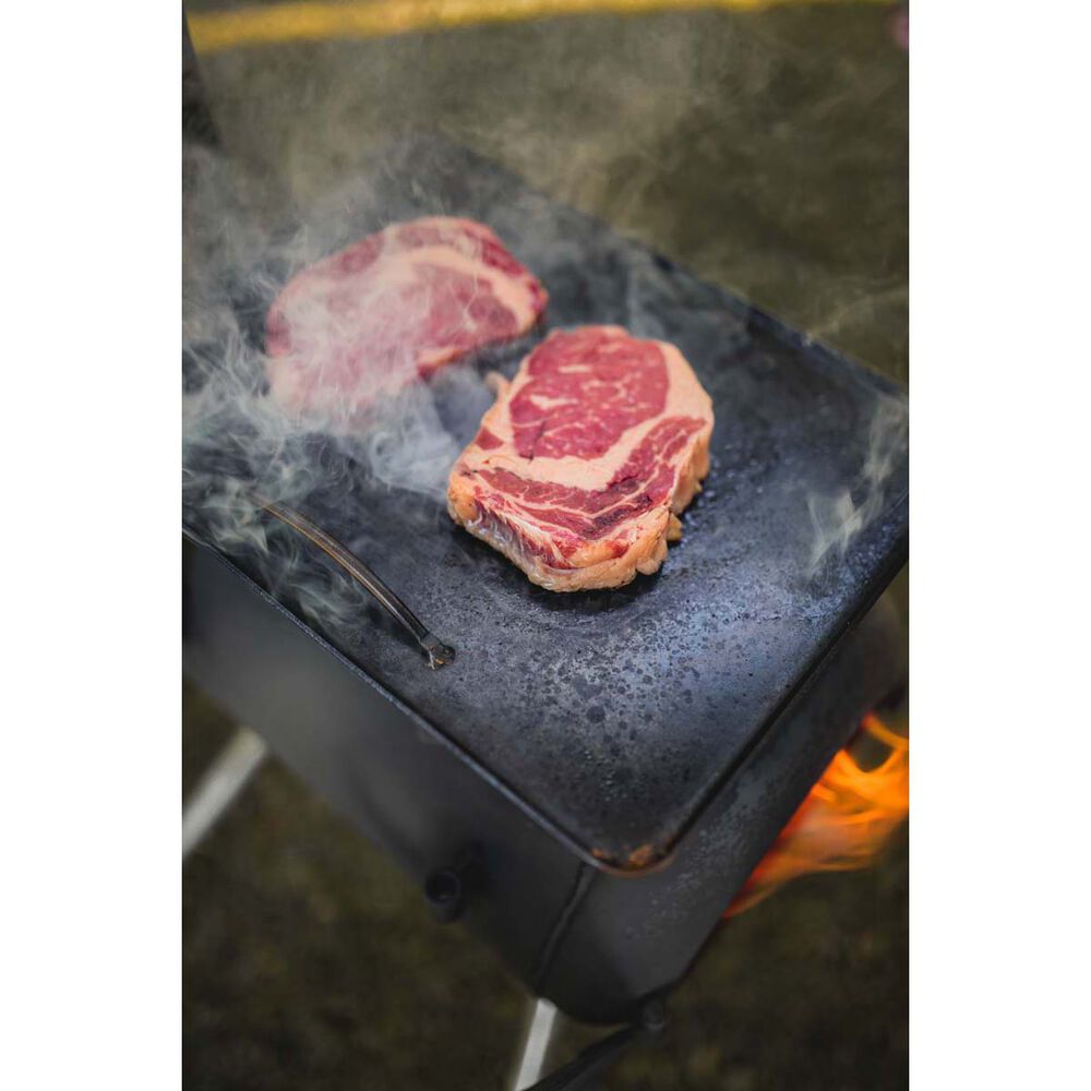 Ozpig Traveller Wood Fired Stove
