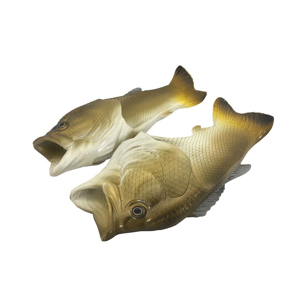 Bream Fish Feet