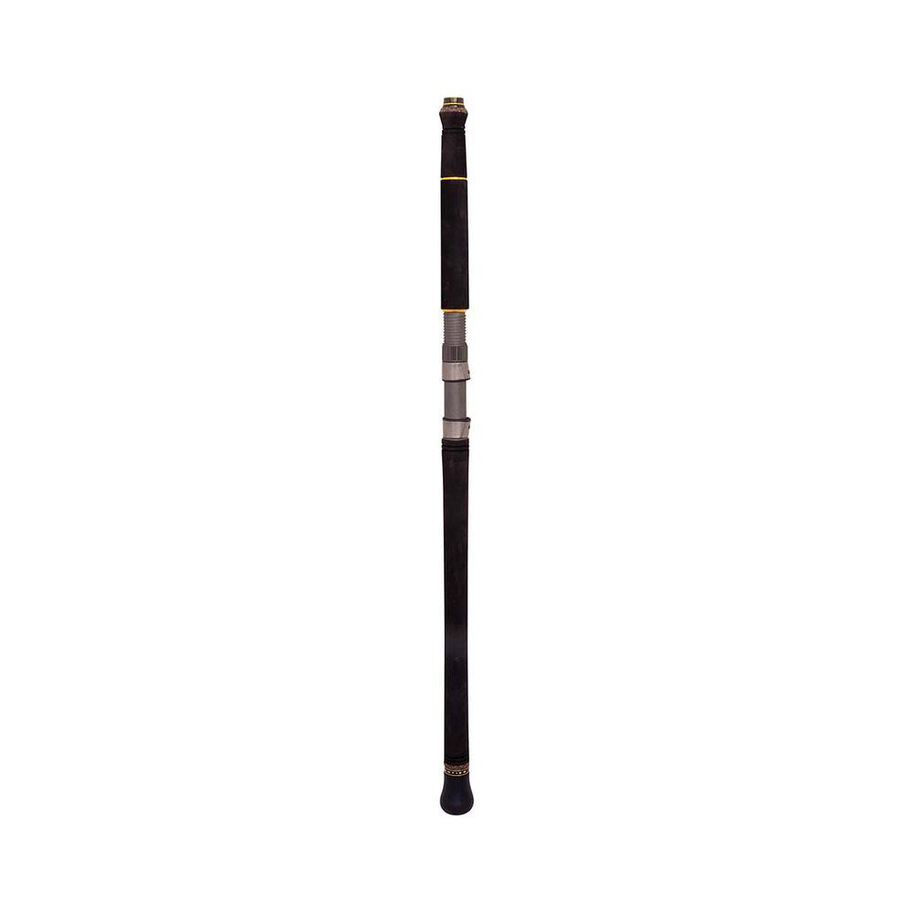 PENN Ocean Assassin Spinning Rod
