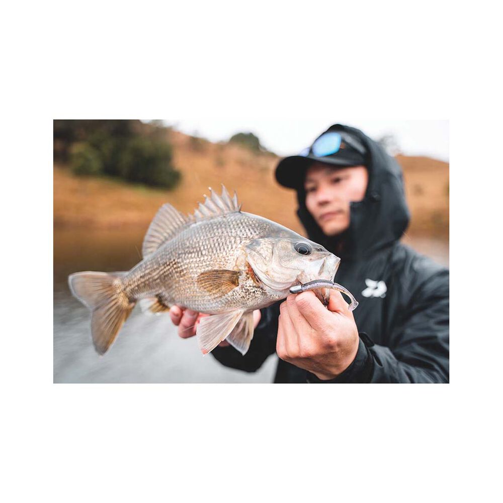 Daiwa Bait Junkie 2X Jig Heads