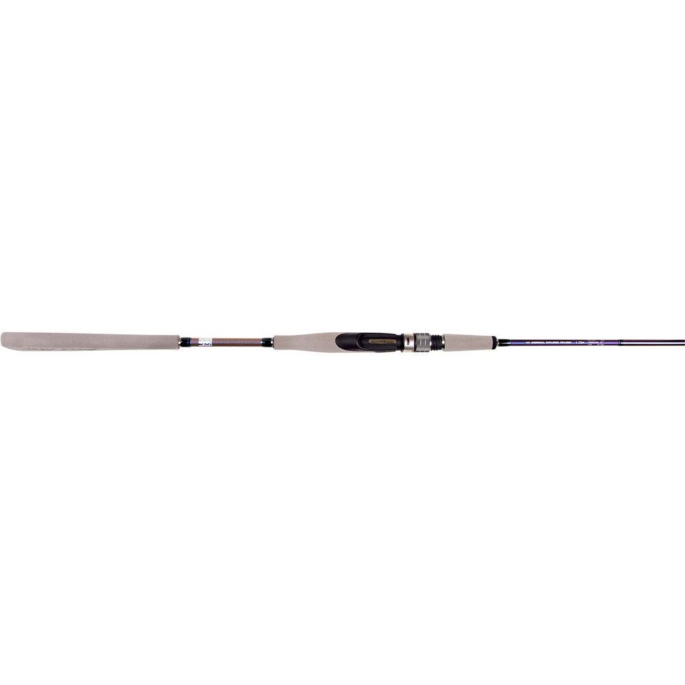 NS Black Hole Explorer Spinning Rod