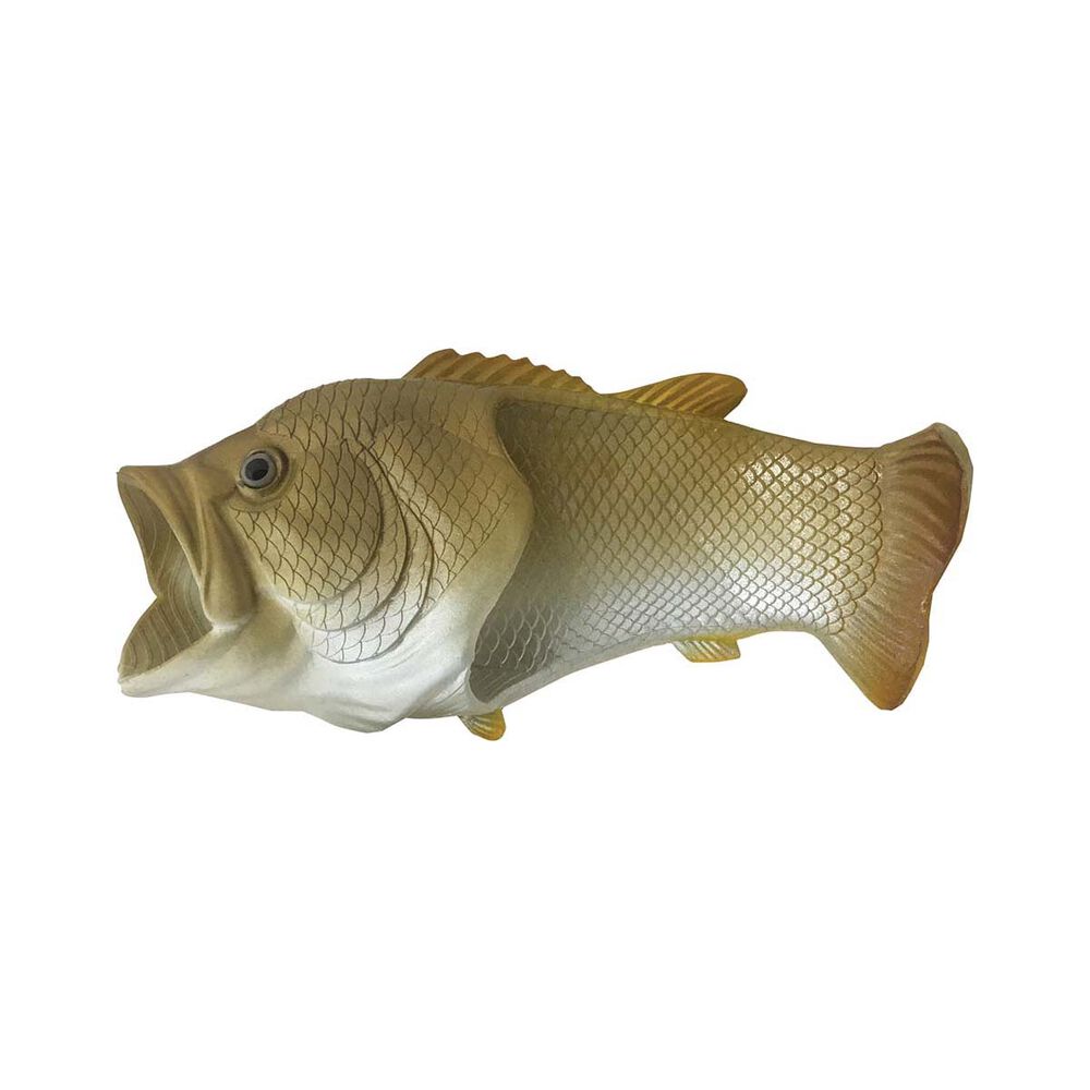 Barramundi Fish Feet