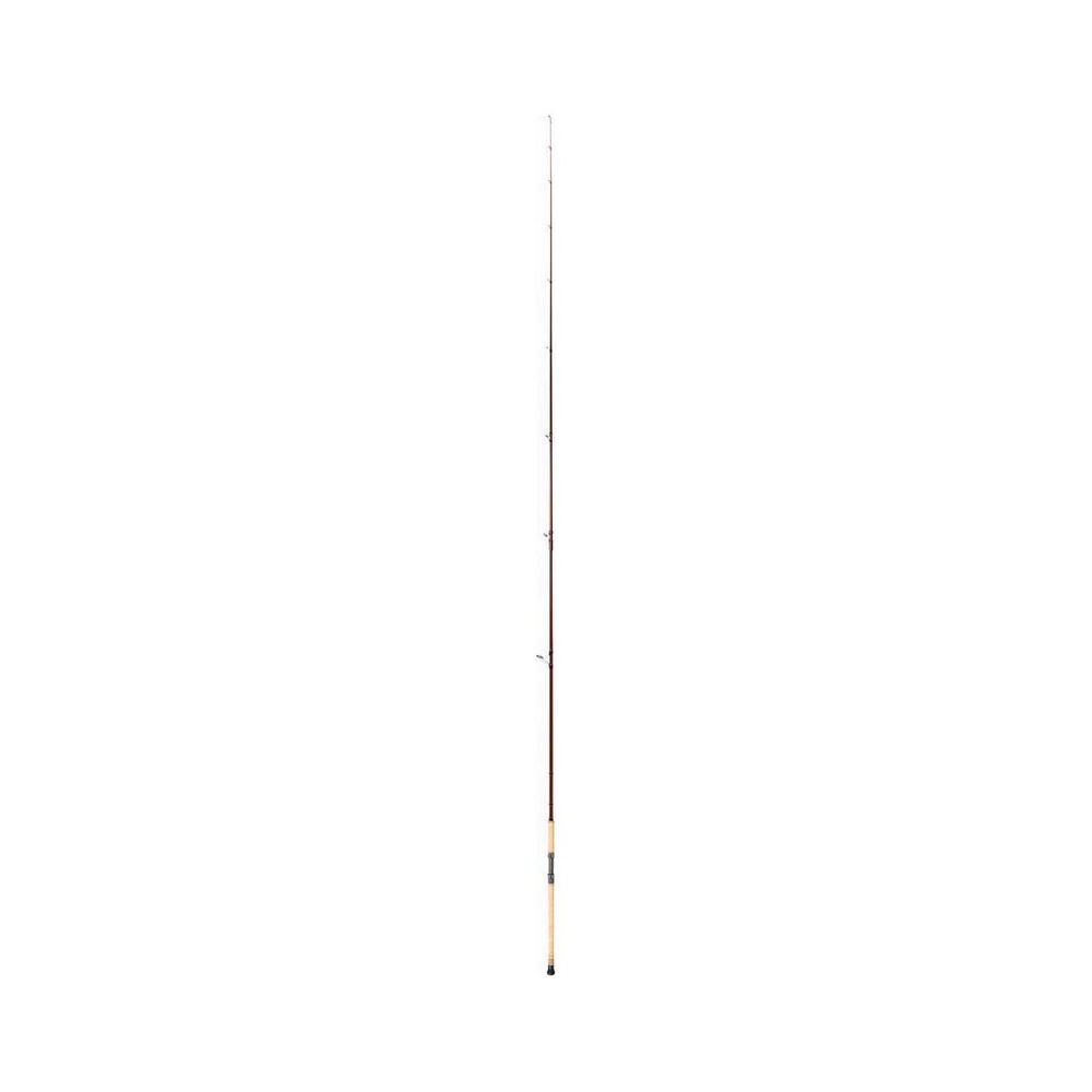 Shimano Raider Surf Rod