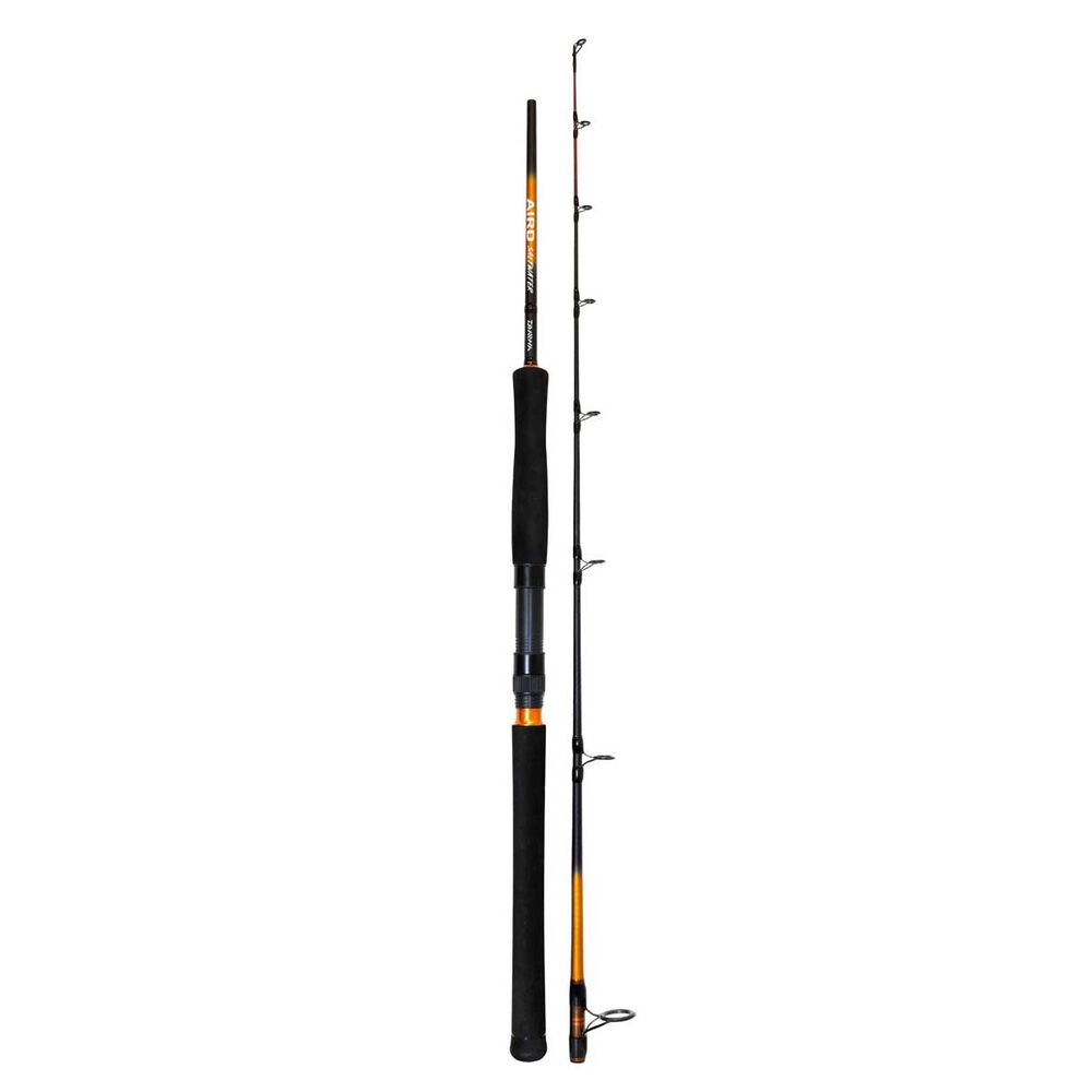 Daiwa Aird SW Spinning Combo