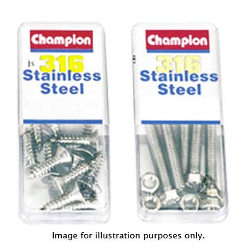 Champion 316 Nyloc Nuts