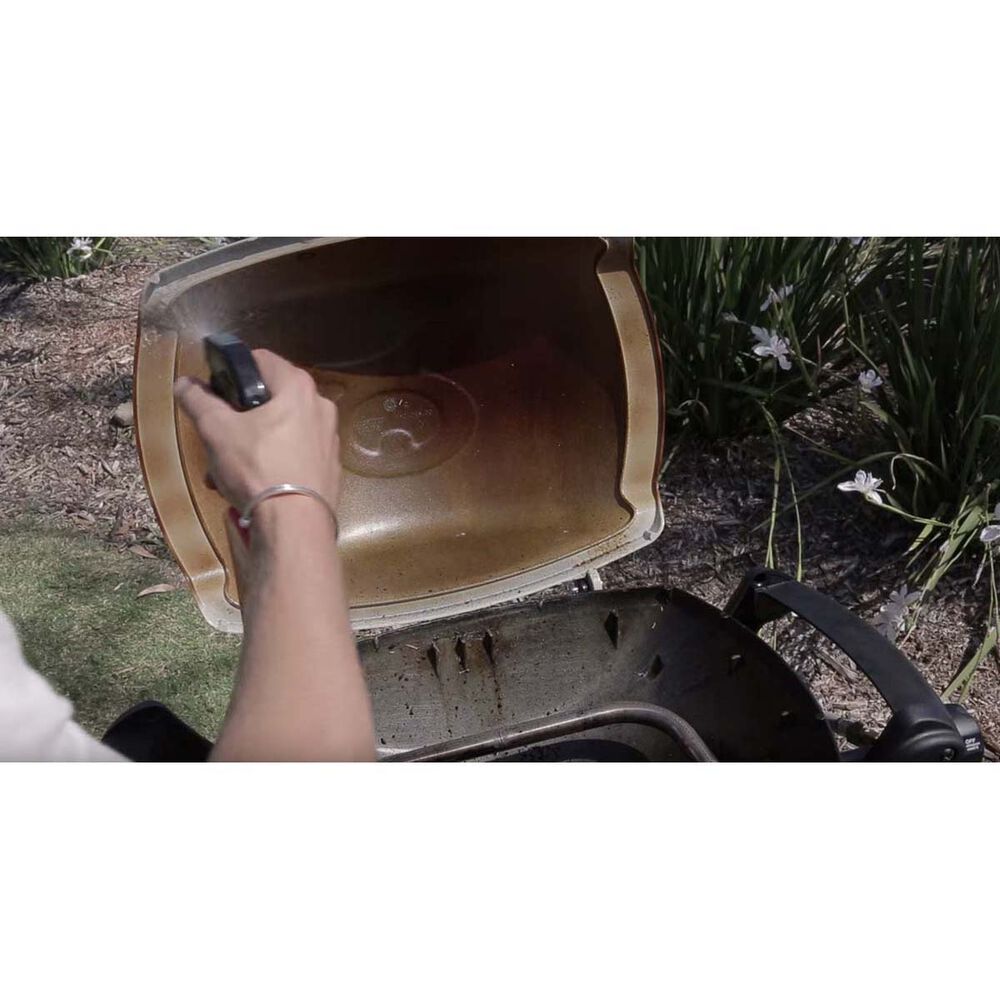 Weber Q Cleaner