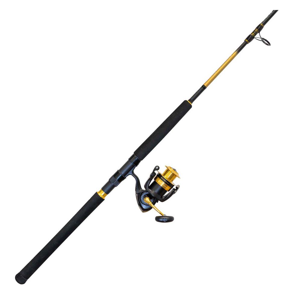 Daiwa Crossfire SW Spinning Combo