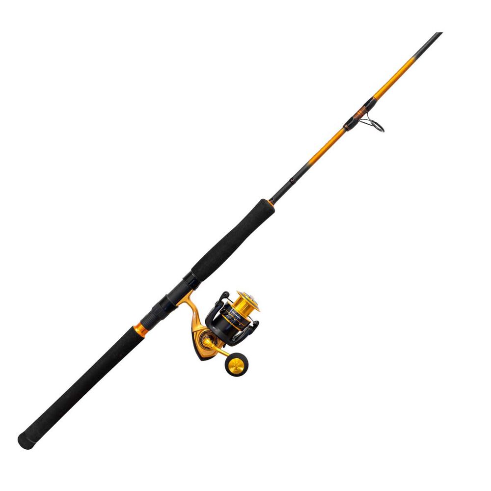 Daiwa Aird SW Spinning Combo
