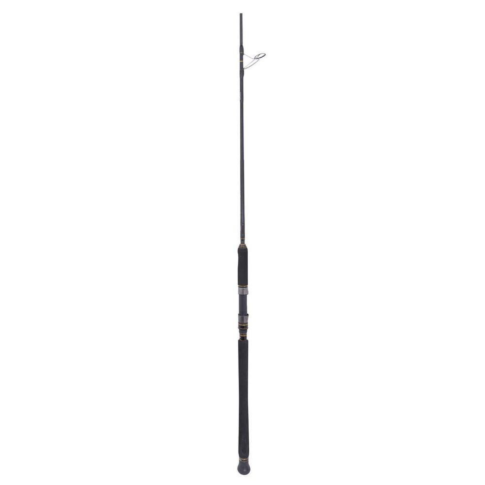 PENN Slammer Spinning Rod