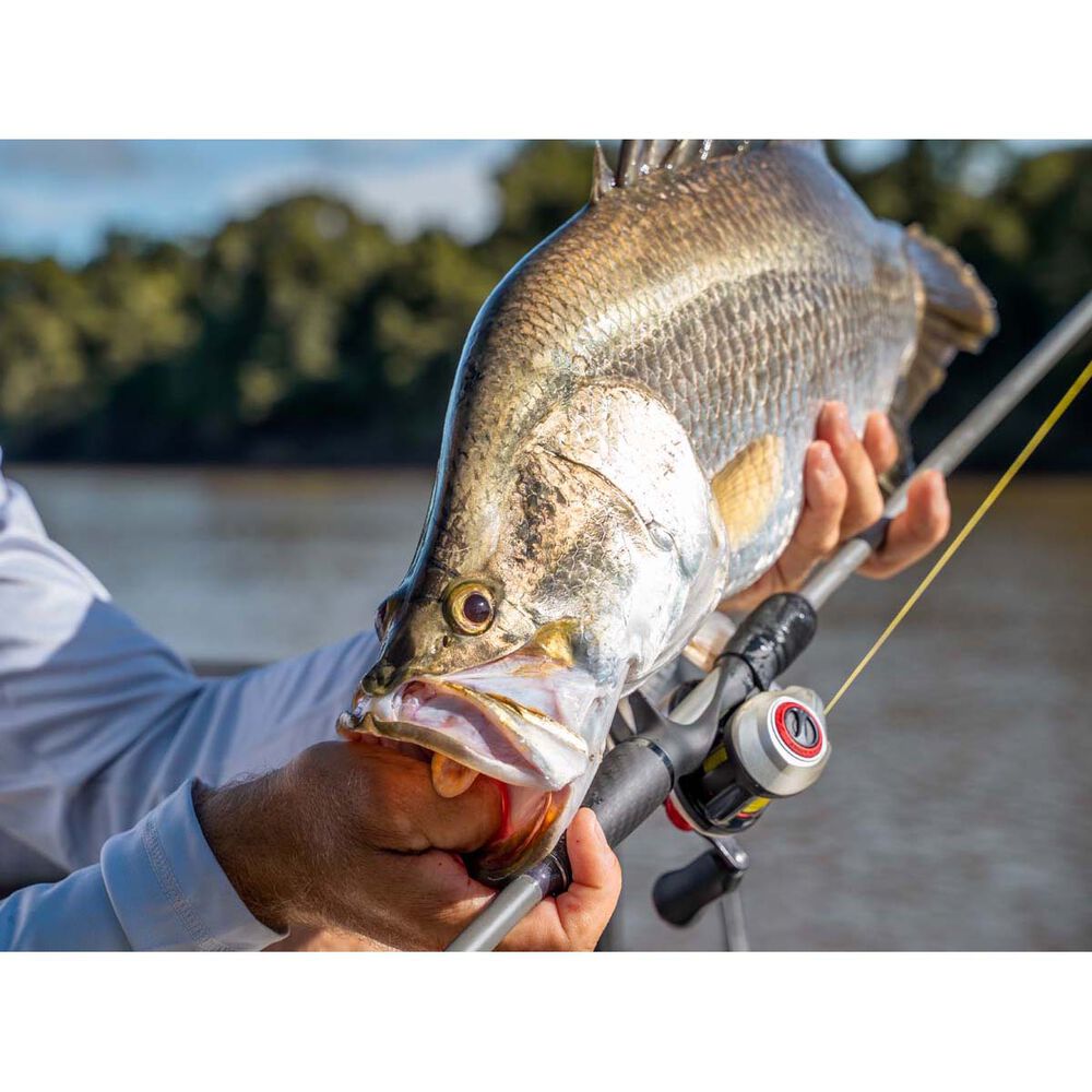 Abu Garcia Revo5 STX Baitcaster Reel