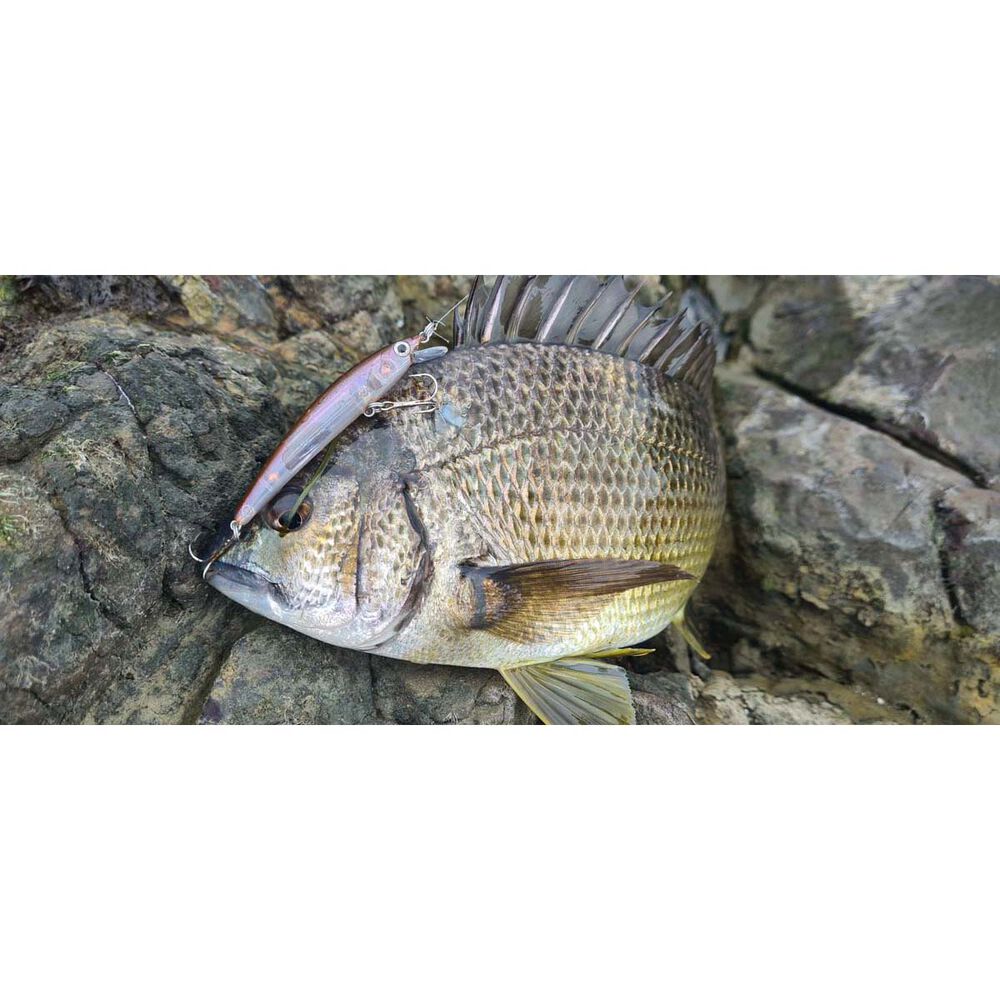 Smith Panish Floating Hard Body Lure 70mm