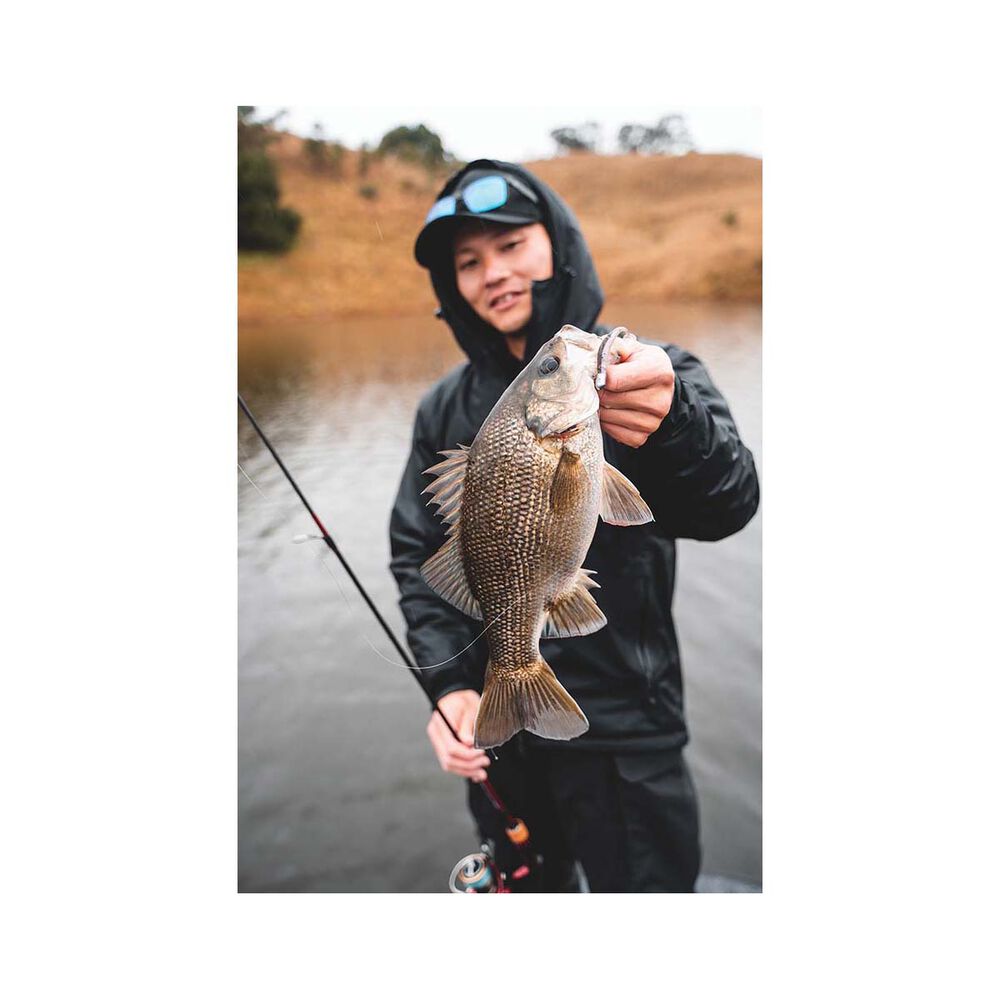 Daiwa Bait Junkie 2X Jig Heads
