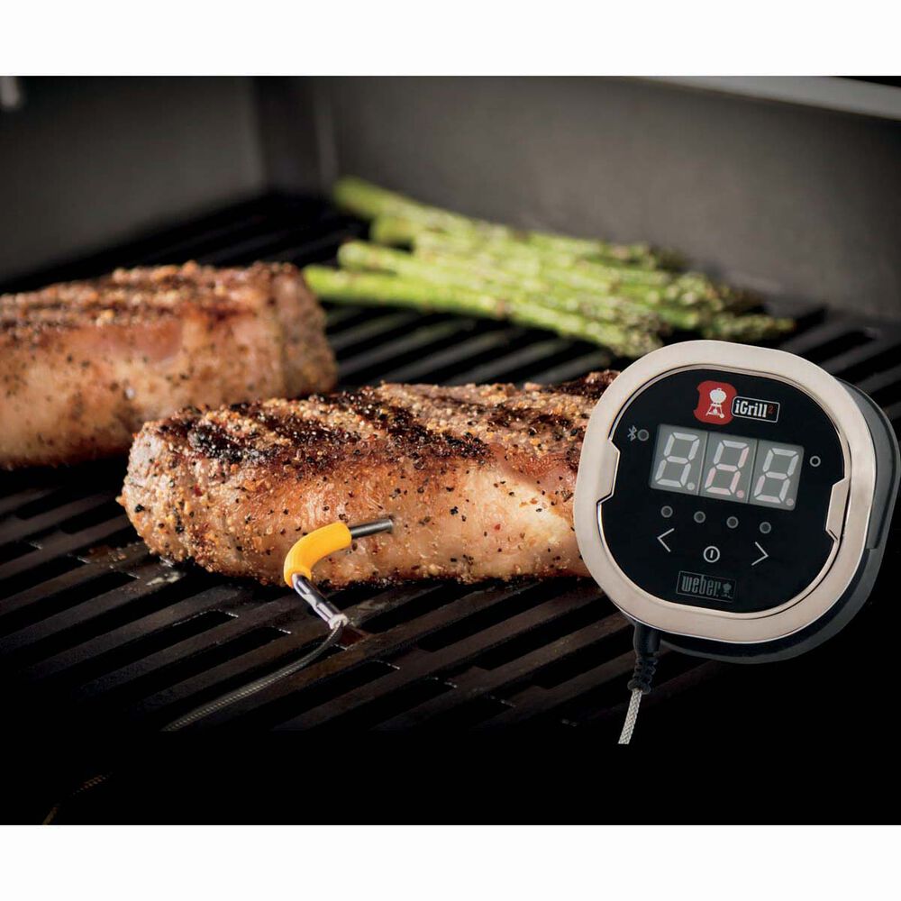 Weber iGrill 2 Thermometer