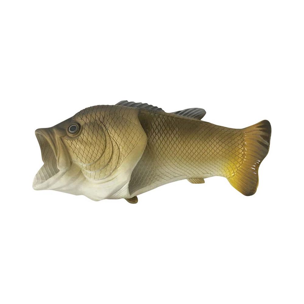 Bream Fish Feet