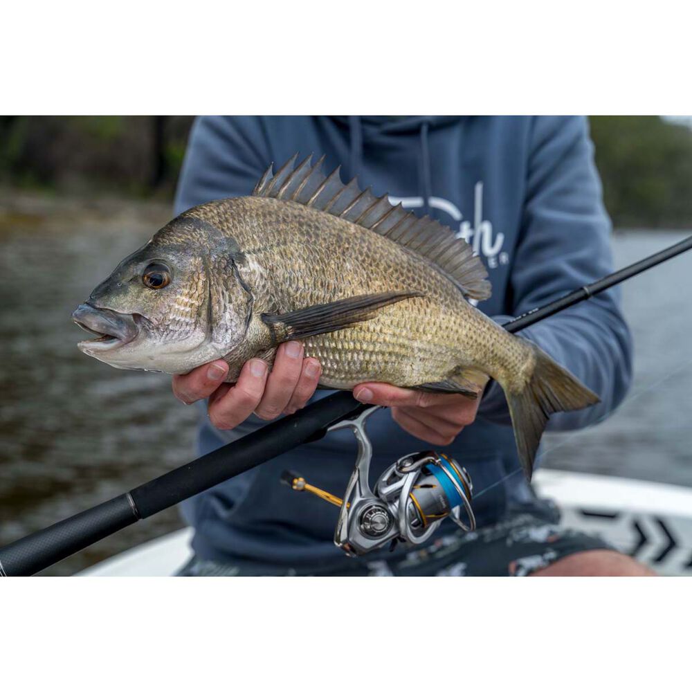 Daiwa Freams LT Spinning Reel 6000D-H
