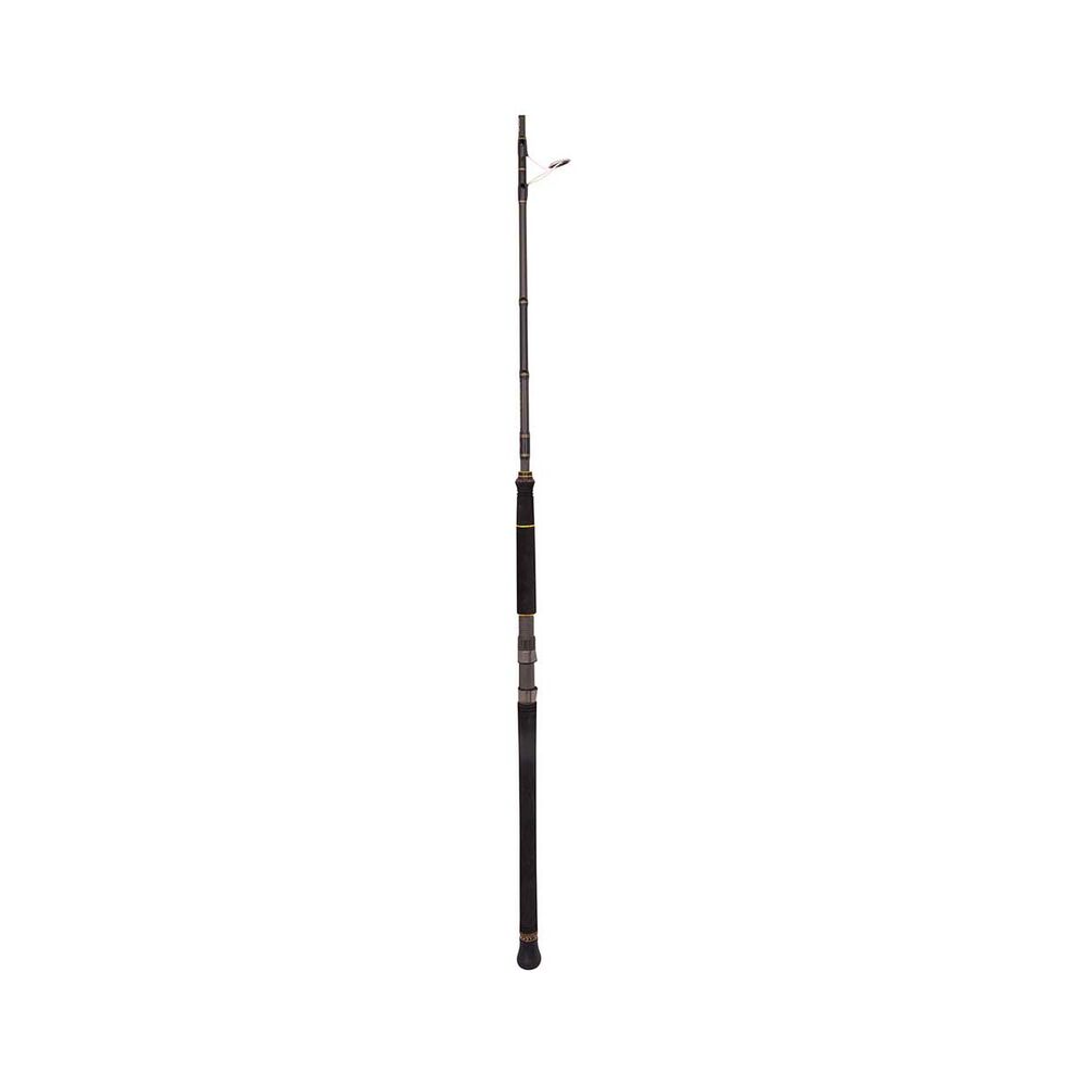 PENN Ocean Assassin Spinning Rod