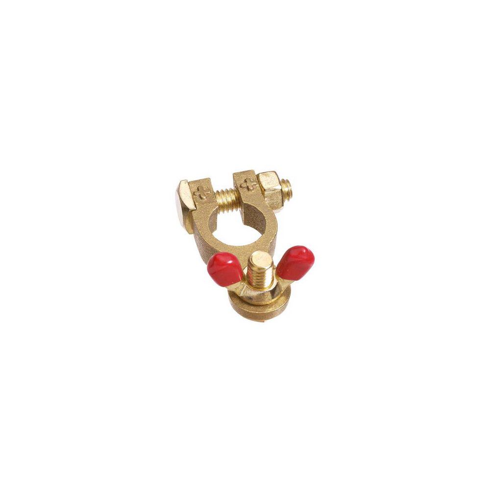 Projecta Brass Battery Terminal with Wingnut Positive