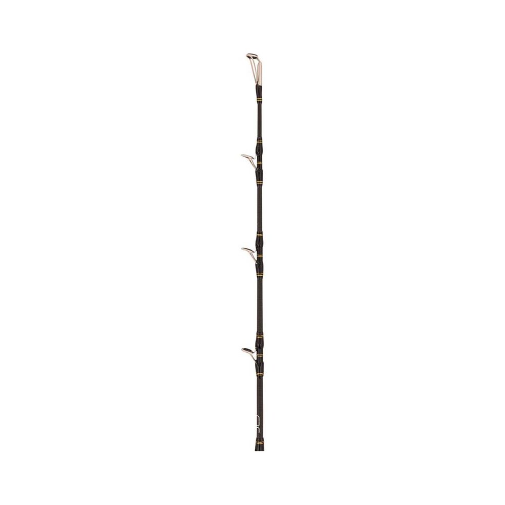 PENN Ocean Assassin Overhead Rod