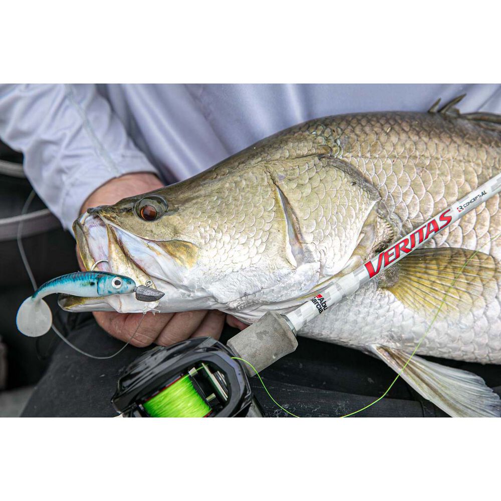 Abu Garcia Veritas 4.0 Surf Rod