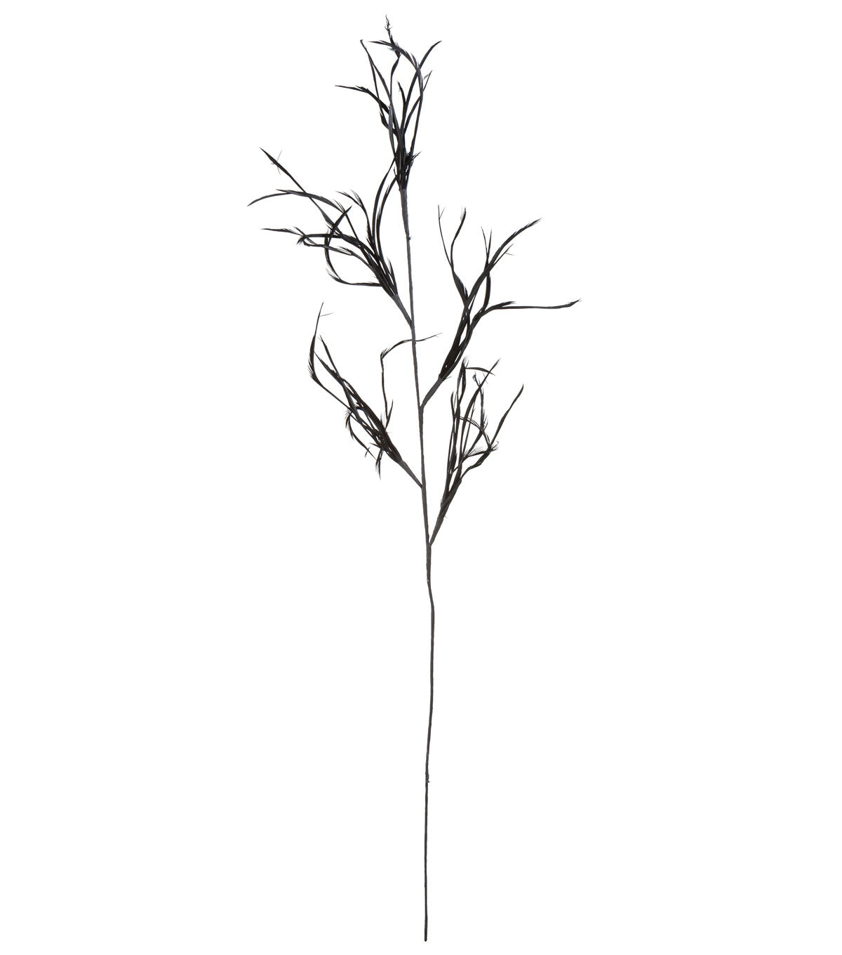 33.5 Black Goose Biot Branch Stem by Bloom Room