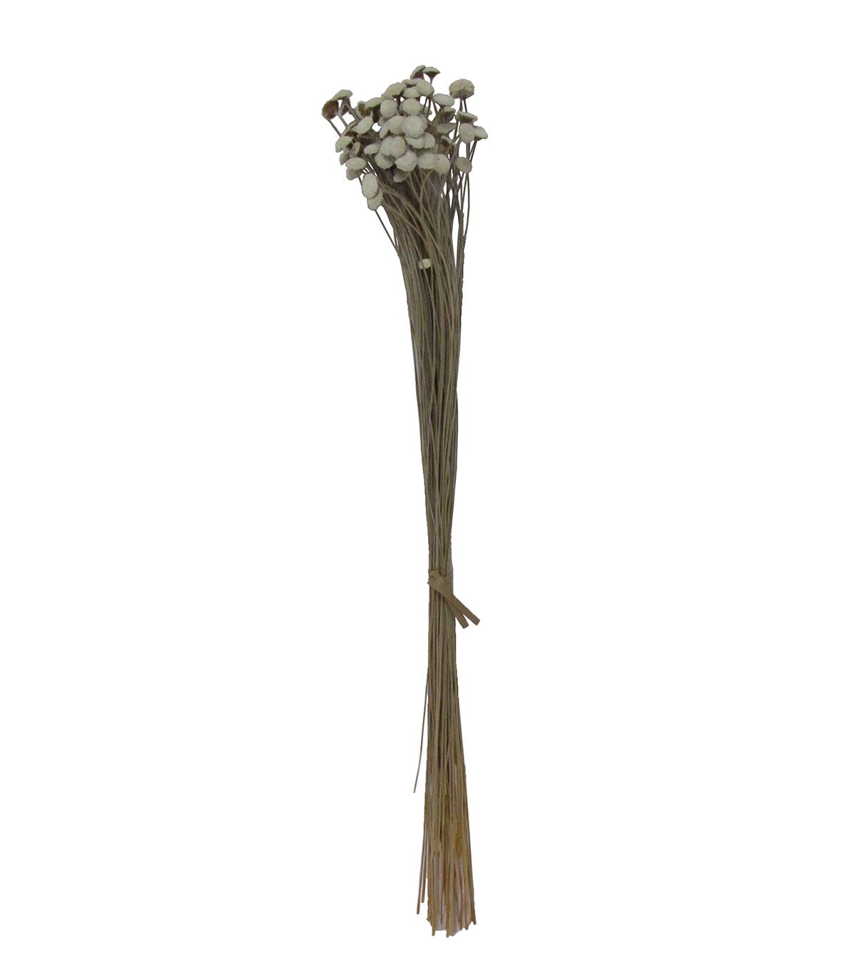 21 Natural Dried Bouquet by Bloom Room