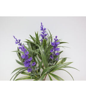 9 Lavender Pick by Bloom Room