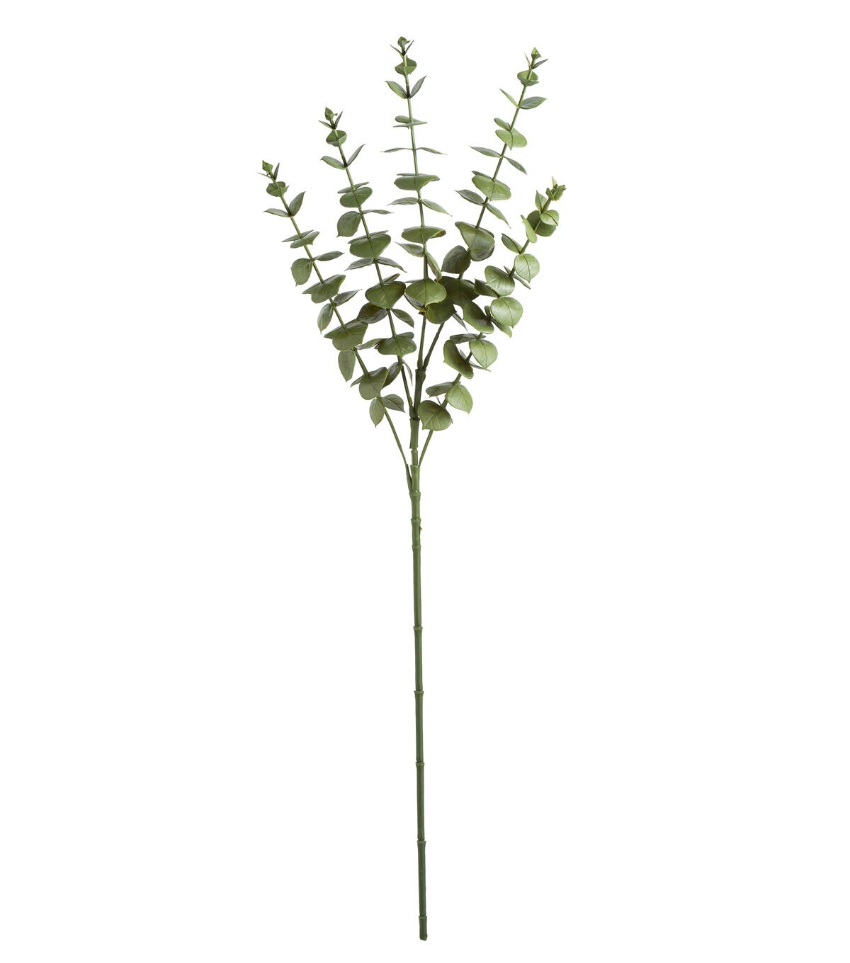 29 Green Eucalyptus Stem by Bloom Room