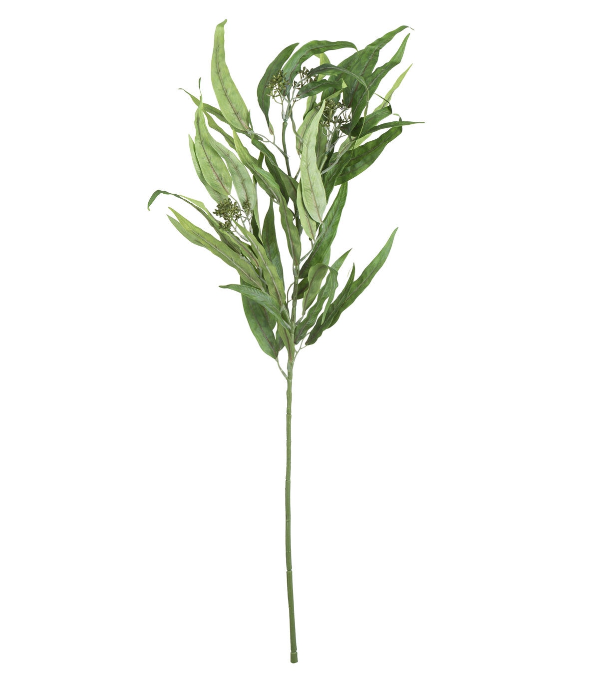 34 Willow Eucalyptus Stem by Bloom Room